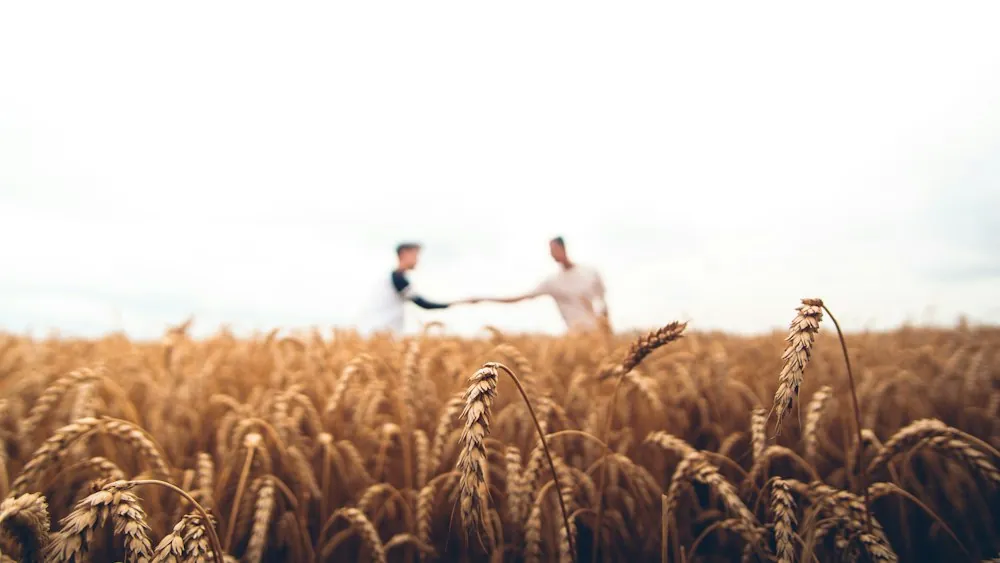 Diploma Perito Agrario Online